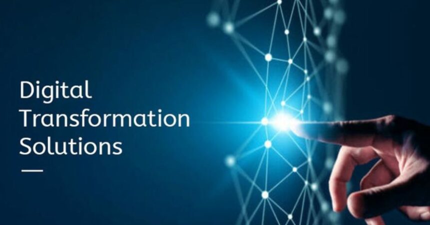 Riproar Business Digital Transformation