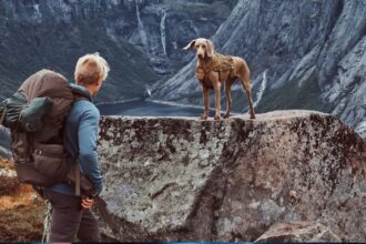 shepherd of the hills inspiration tower