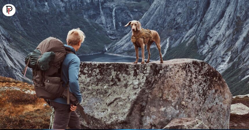 shepherd of the hills inspiration tower